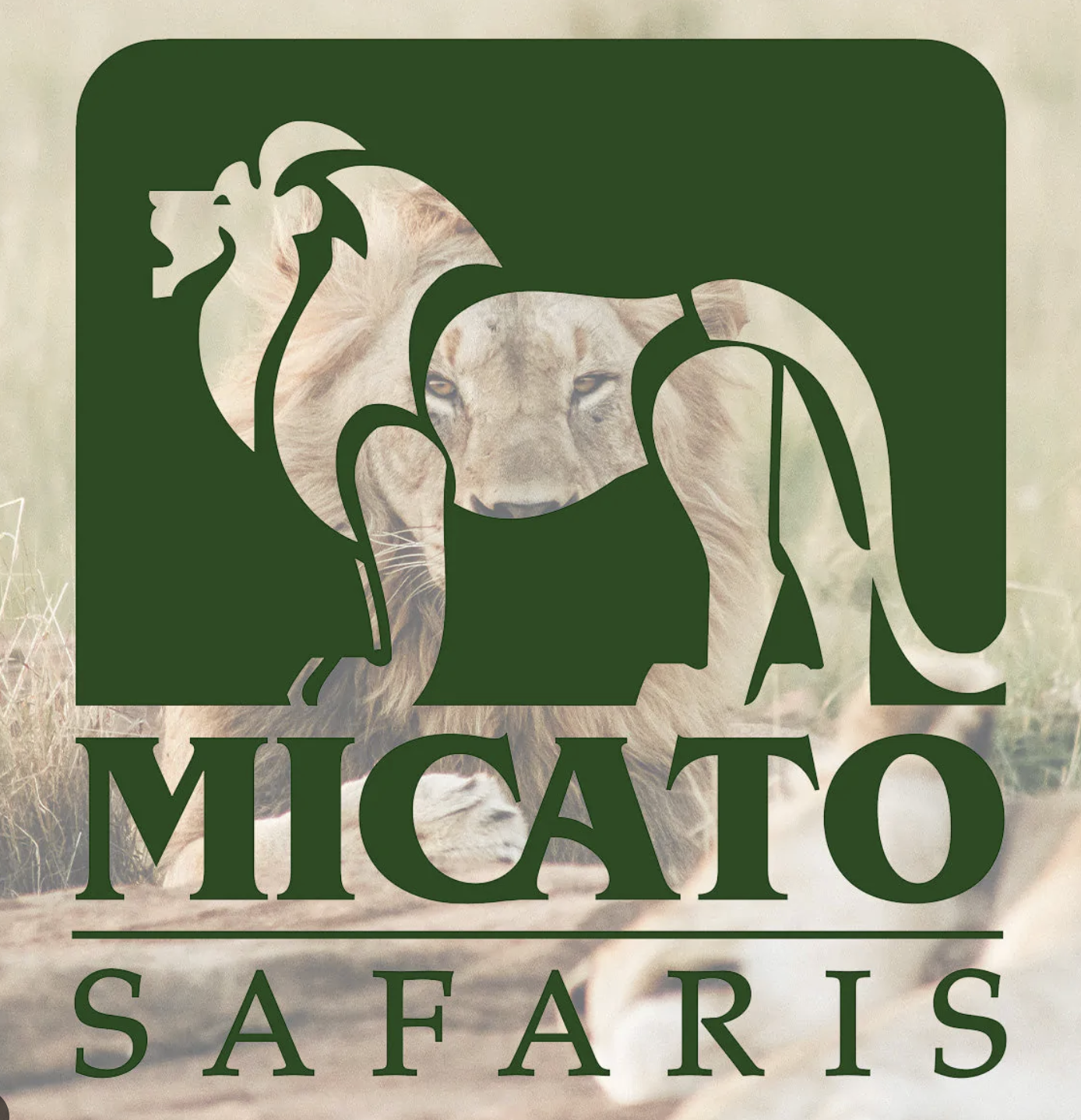 Micato Safari logo
